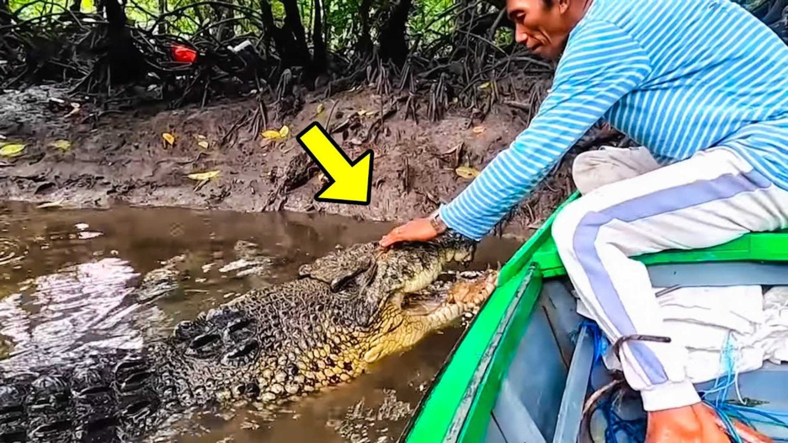 This Man Saves An Injured Crocodile But Years Later This is What Happened to Him